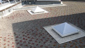 20181019_RW LAT_FR_PHO_04