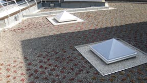 20181019_RW LAT_FR_PHO_04