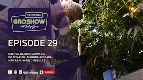 GroShow Episode 29 - Mockup