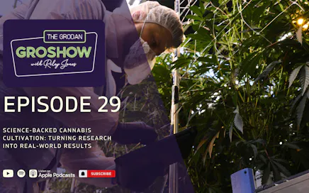 Science-backed cannabis cultivation: Turning research into real-world results