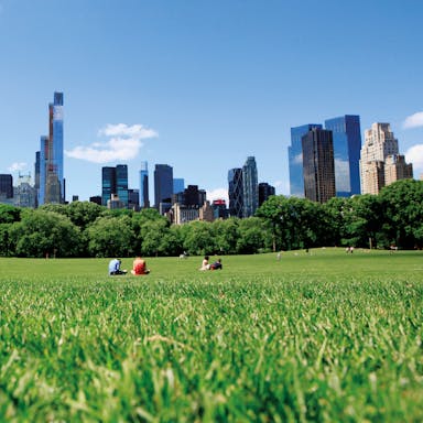 RockWorld imagery,The Big Picture, park, city, greenery