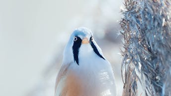 20231123 RW-CWE PHO 1614