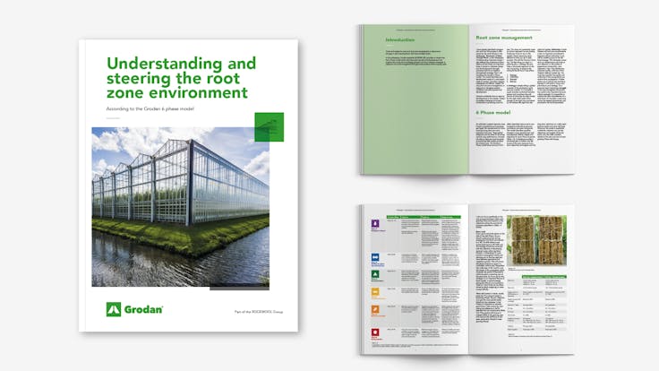 visual, whitepaper, TTL campaign, EC