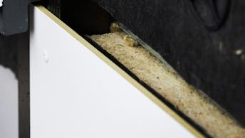 20211208 RW-CWE PHO 1139