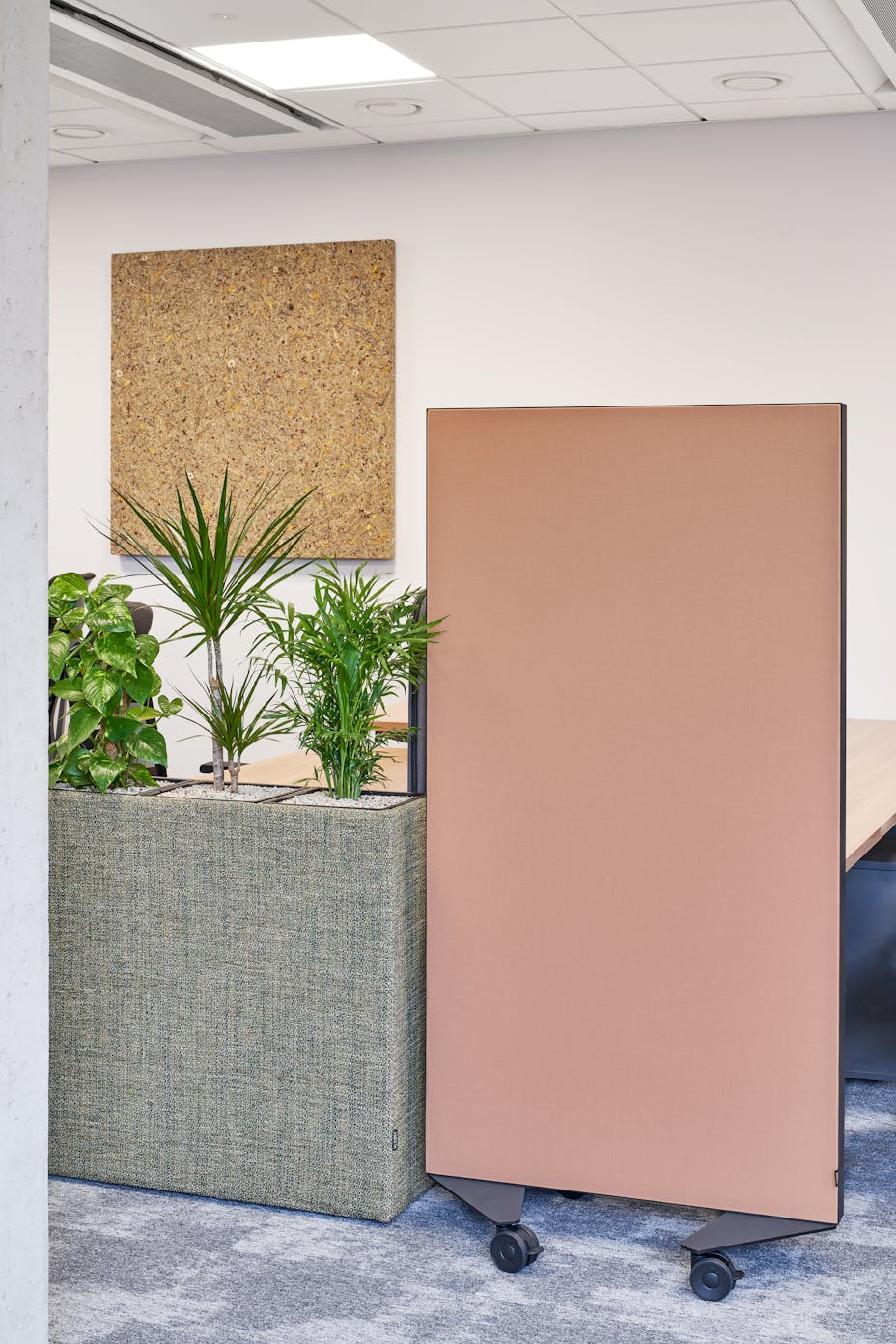 20230927 RW-RF PHO 9684