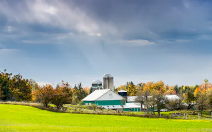 Rozwiązania dla przemysłu agro