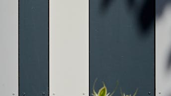 20220906 RW-RP PHO 2111