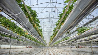 20190604 GMC PHO 1363