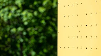 20210604 RW-RP PHO 01574