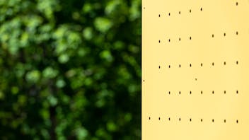 20210604 RW-RP PHO 01574