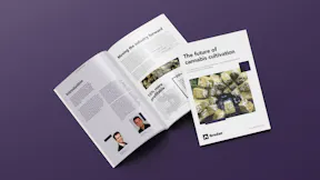 Whitepaper Mockup
