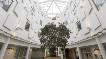 20180910 RW-RF PHO 006396