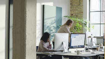 Rockfon Canva Wall Panel - Office Environment #4