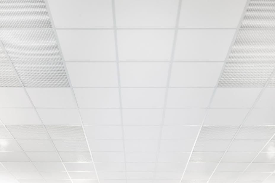 20220711 RW-RF PHO 8573