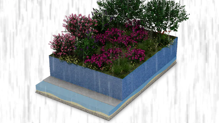 Flora Sponge