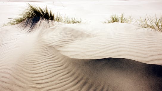 20230914 RW-RP PHO 2539