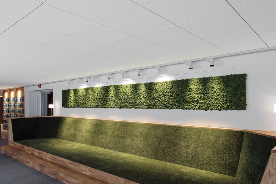 20181106 RW-RF PHO 006494