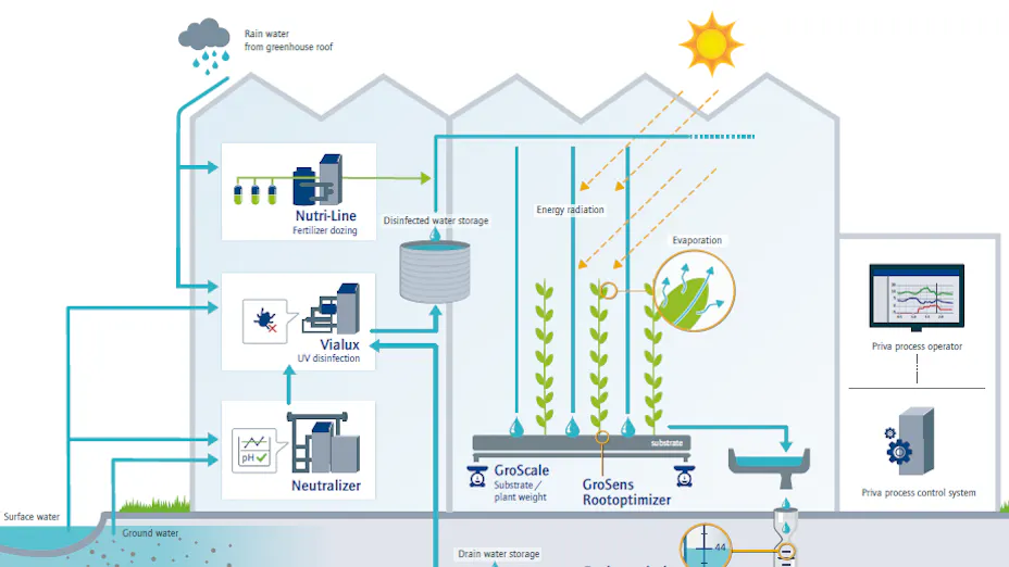 A scheme showing the flow of water from the different sources through the greenhouse to the plants