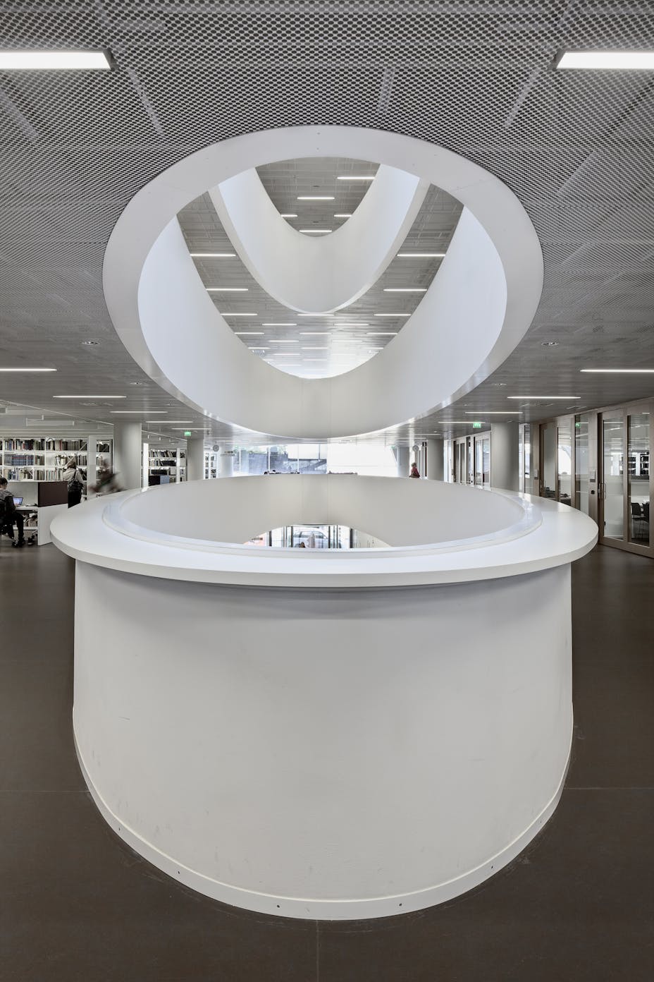 20130124_RW-RF_PHO_001531