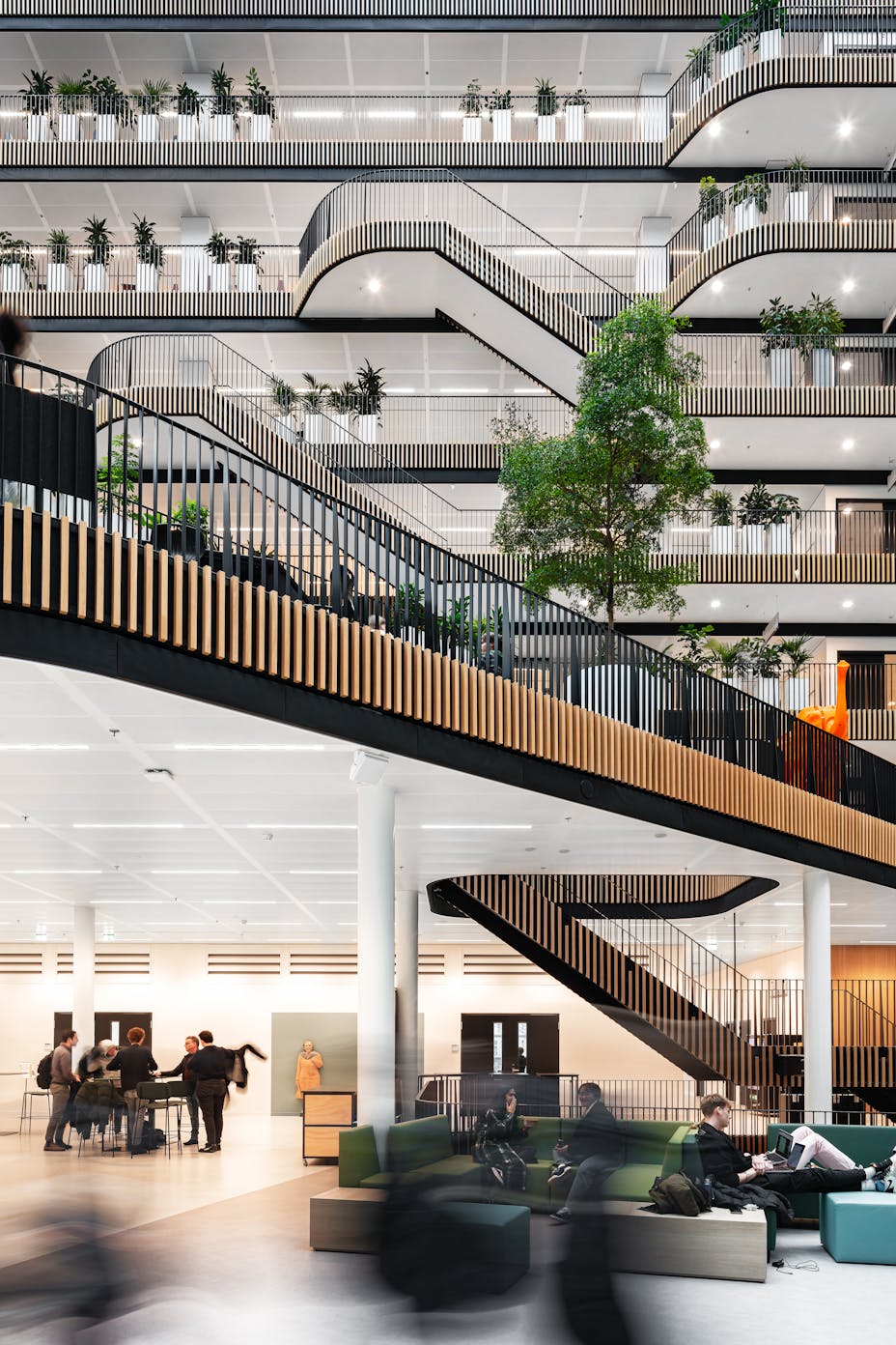 20240111 RW-RF 10006