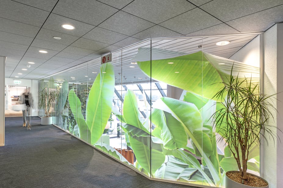 20210114 RW-RF 007234