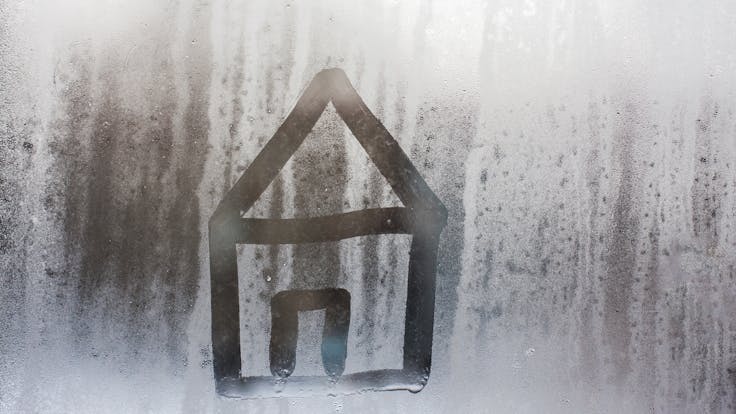 mould, humidity, moisture, water, photo, germany, construction damage, water drop