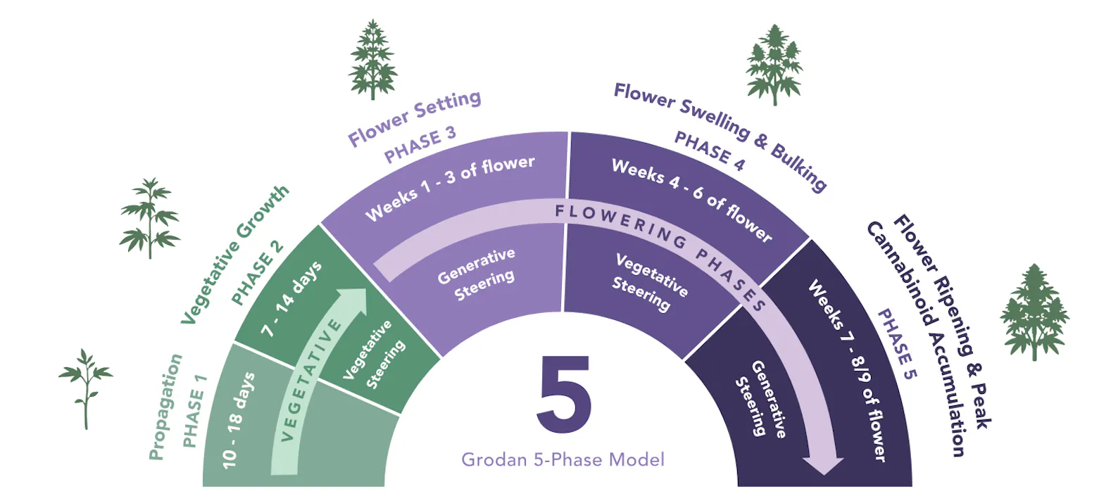 Grodan 5-Phase Model in Large Blocks
