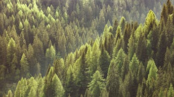 20171230 GMC PHO 274