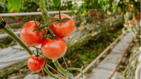 20201006 GR PHO 5300