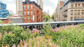 20180906 RWNA PHO 365