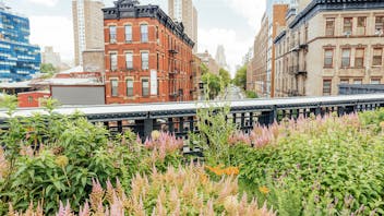 20180906 RWNA PHO 365