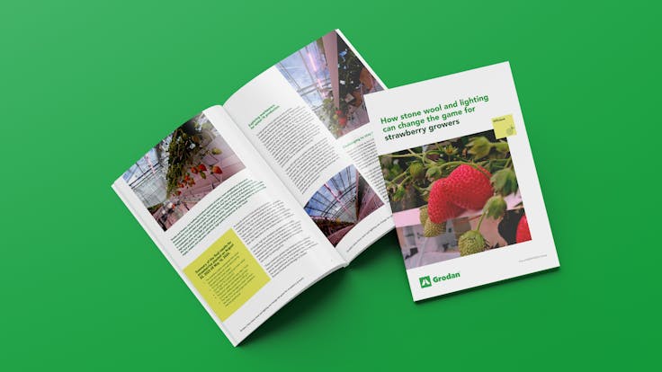 Whitepaper mock-up Grodan Fluence strawberry trial