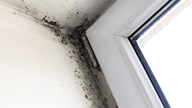 20190711 RWNA PHO 965