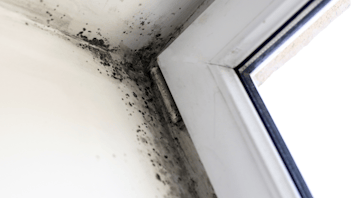 20190711 RWNA PHO 965