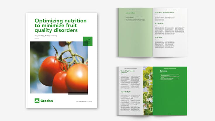 Grodan, visual, whitepaper, TTL, campaign