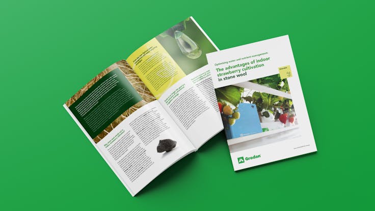 Mock-up Strawberry whitepaper water management