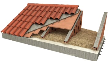 20180416_RW LAT_SP_ILLU_04