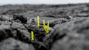 20221115 ByNature PHO 19