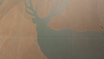 20180807 RW-RP PHO 00135