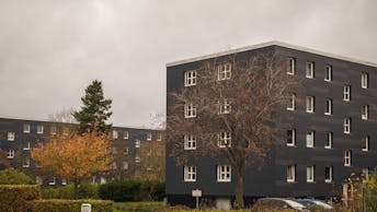 20201119 RW-RP PHO 01332