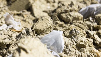 20250602 RW-NC PHO 2567