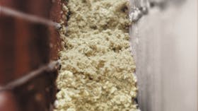 20211019_RW-CWE-BNL_PROD105