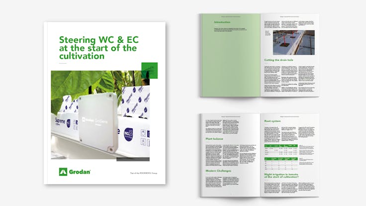 visual, whitepaper, TTL campaign, EC