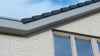 20230130 RW-RP PHO 2327