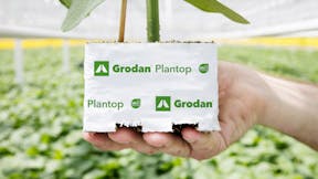 20200410 GR PHO 5153