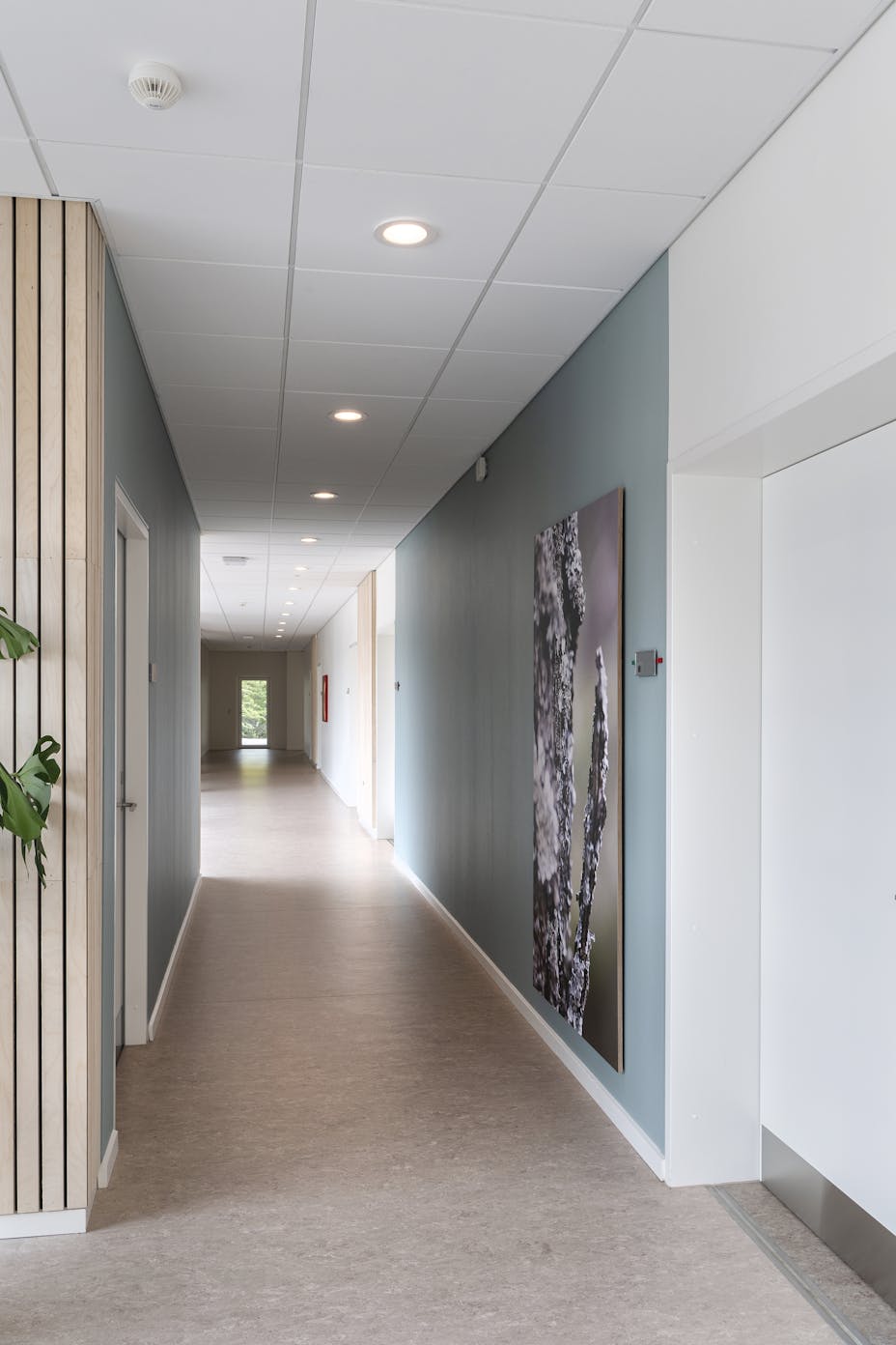 20190606 RW-RF PHO 006669