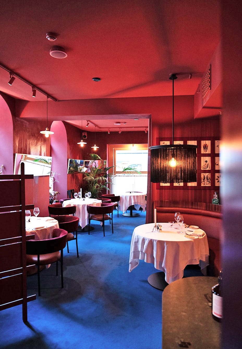 20210428 RW-RF PHO 7837