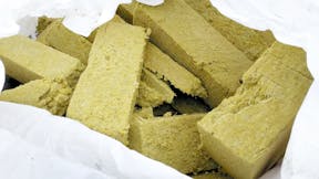 20240425 RW-LAT PHO 2888