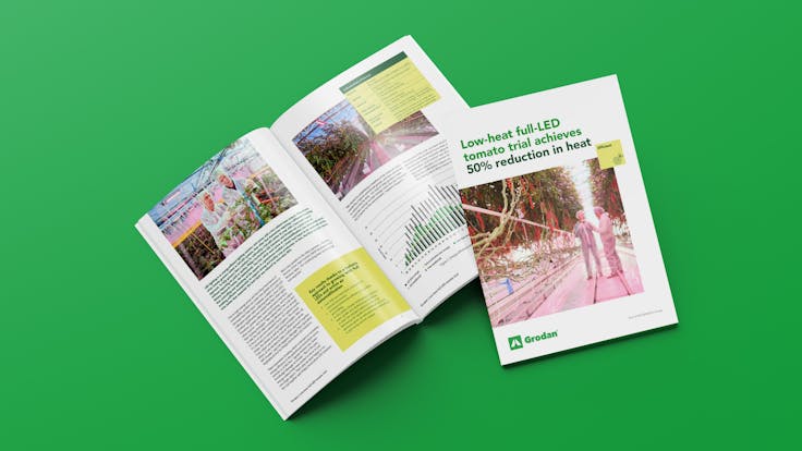 Mock-up low energy tomato growing end of trial whitepaper