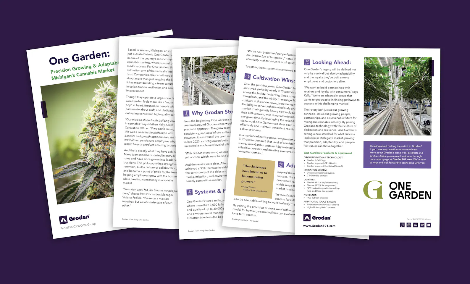One Garden Case Study Mockup
